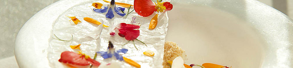 100% Chef – molecular gastronomy, dry ice, catering